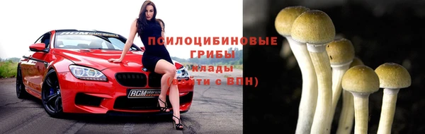apvp Абдулино