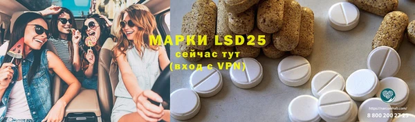 apvp Надым
